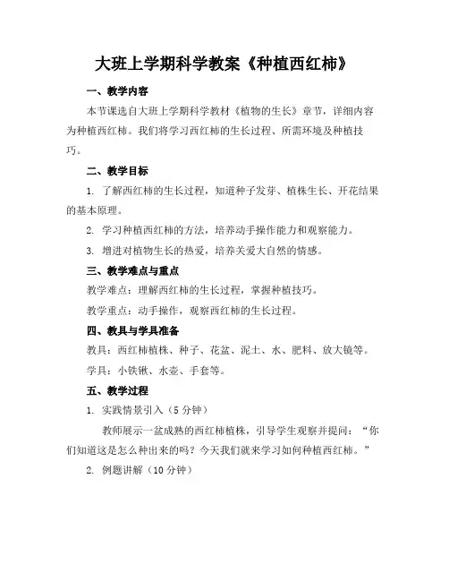 大班上学期科学教案《种植西红柿》