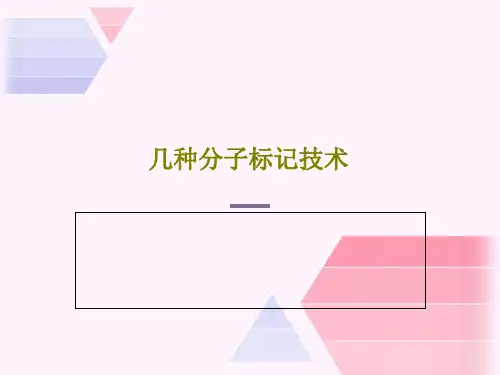 几种分子标记技术18页PPT