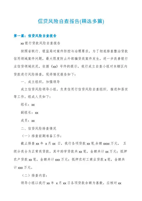 信贷风险自查报告(精选多篇)