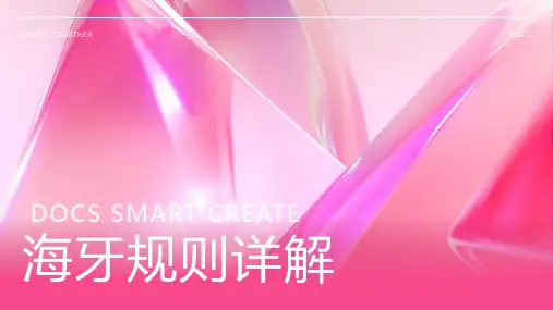 海牙规则资料