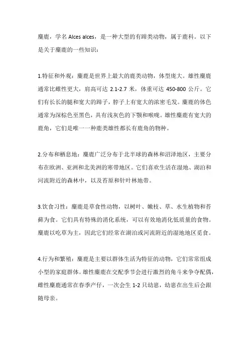 麋鹿的知识