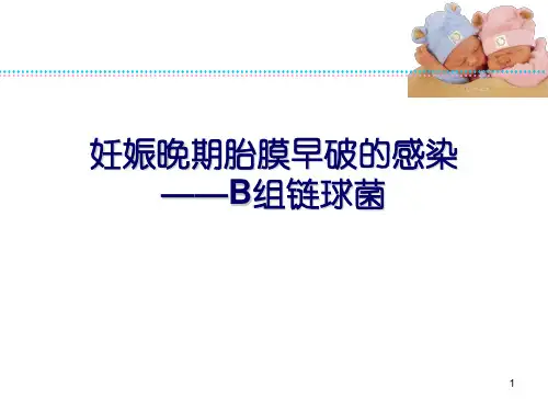 B组链球菌感染ppt课件