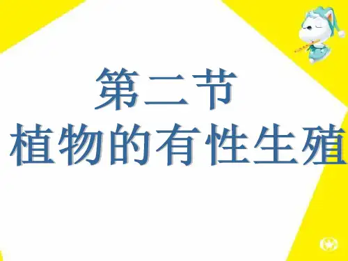 生物八年级下苏教版21.2植物的有性生殖课件(22张)
