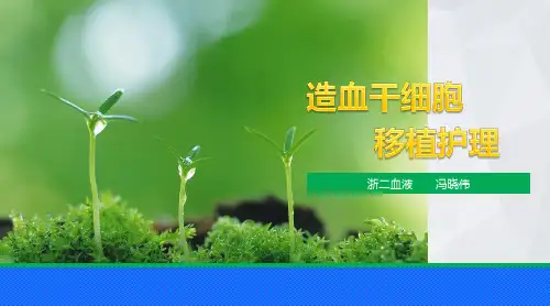 造血干细胞移植护理