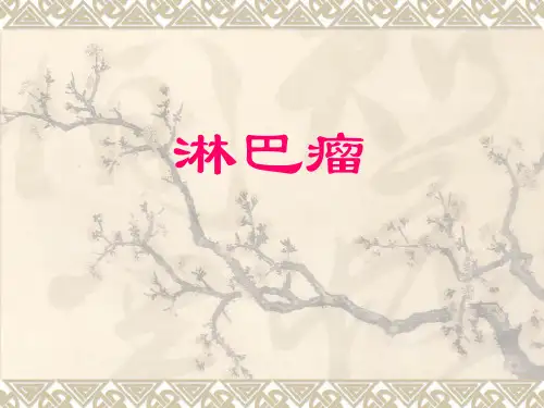 淋巴瘤 PPT课件