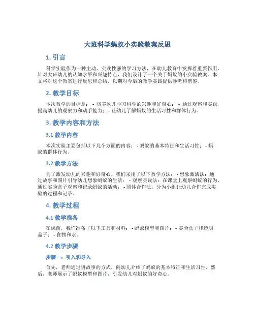 大班科学蚂蚁小实验教案反思