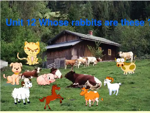 Unit 12 Whose rabbits are these课件