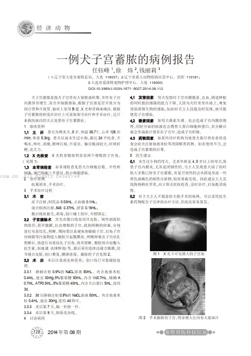 一例犬子宫蓄脓的病例报告