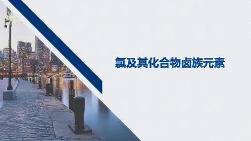 高中化学优质课件【氯及其化合物卤族元素】