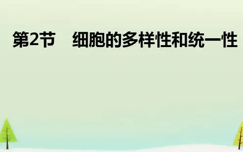 高中生物人教版必修一第一章 第2节细胞的多样性和统一性(共27张PPT)