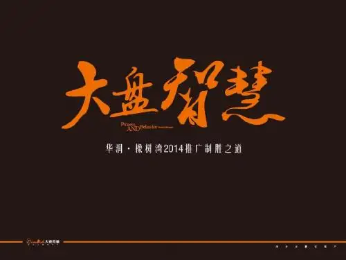 武汉华润橡树湾推广制胜之道145p