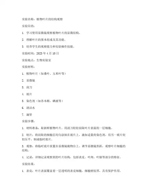 植物学实验报告
