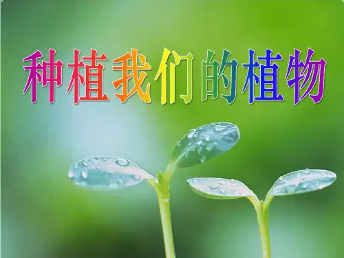 小学三年级下册科学 《种植我们的植物》植物的生长变化PPT优秀课件