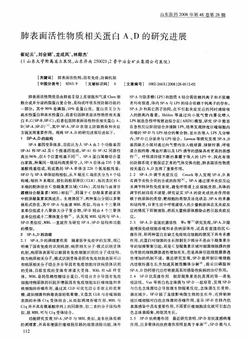 肺表面活性物质相关蛋白A、D的研究进展