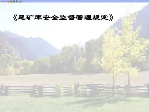 尾矿库安全监督管理规定