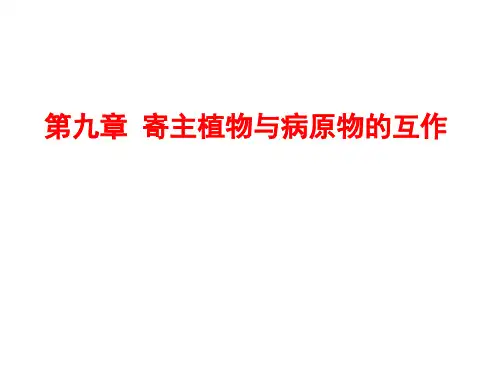 寄主植物与病原物的互作