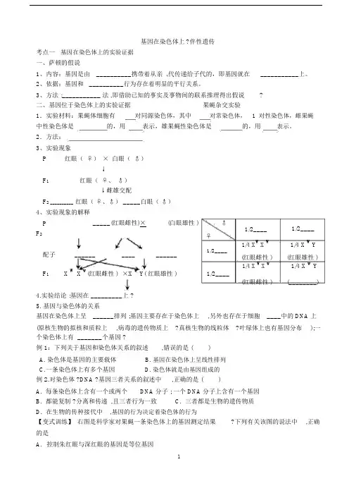 高三一轮复习学案-基因在染色体上和伴性遗传学案精编版.doc