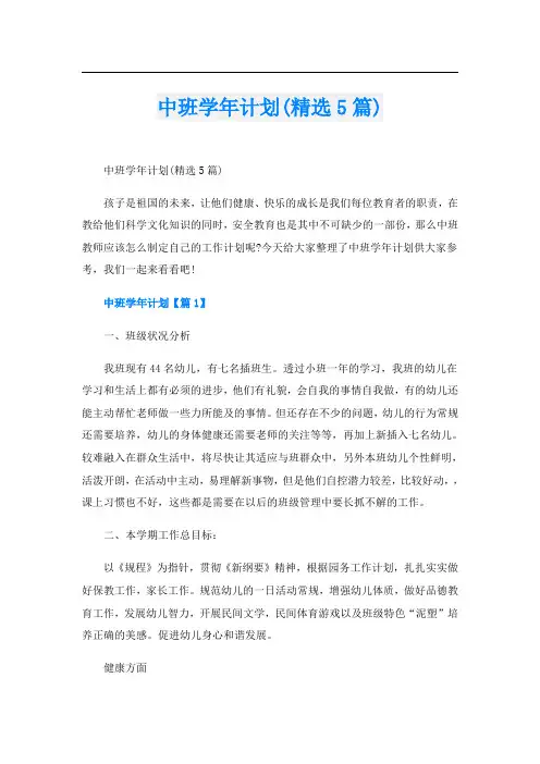 中班学年计划(精选5篇)