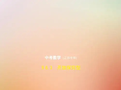 2019年中考数学一轮复习 第八章 专题拓展 8.3 开放探究型(试卷部分)课件