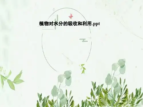 植物对水分的吸收和利用