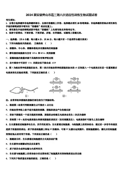 2024届安徽黄山市高三第六次适应性训练生物试题试卷含解析