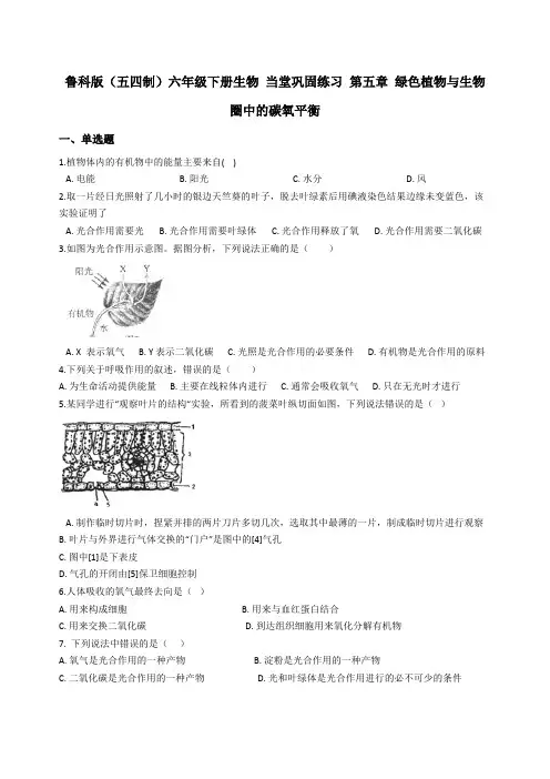 鲁科版(五四制)六年级下册生物 当堂巩固练习 第五章 绿色植物与生物圈中的碳氧平衡含答案