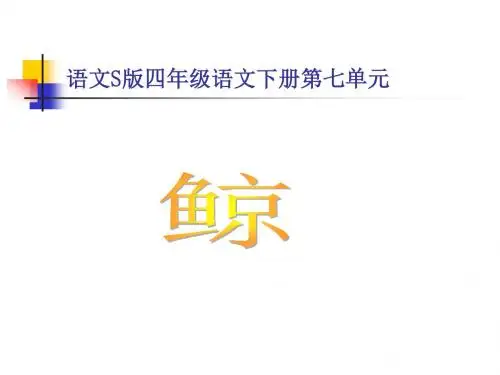 《鲸》课件