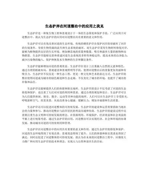 生态护岸在河道整治中的应用之我见