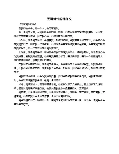 无可替代的他作文