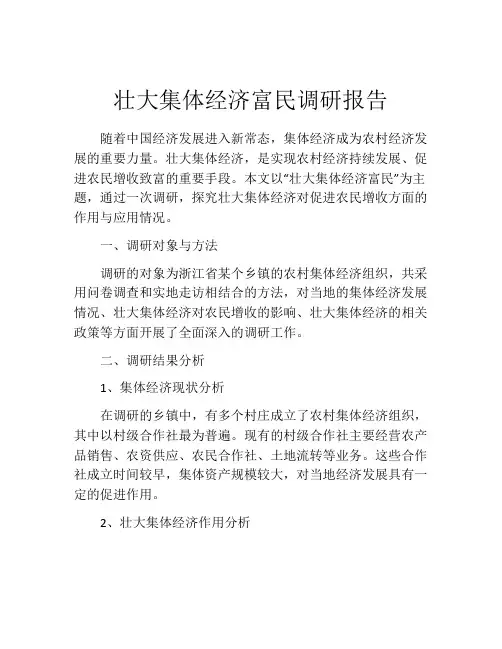 壮大集体经济富民调研报告