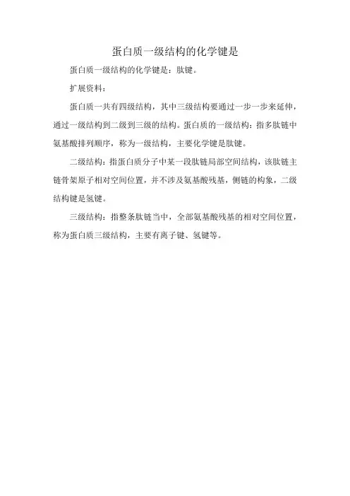 蛋白质一级结构的化学键是