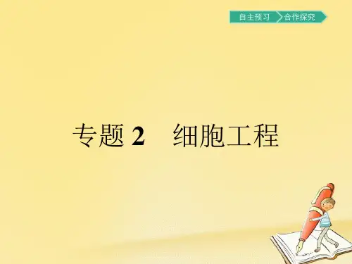 2018-2019学年高中生物人教版选修3课件：2.1.1植物细胞工程的基本技术