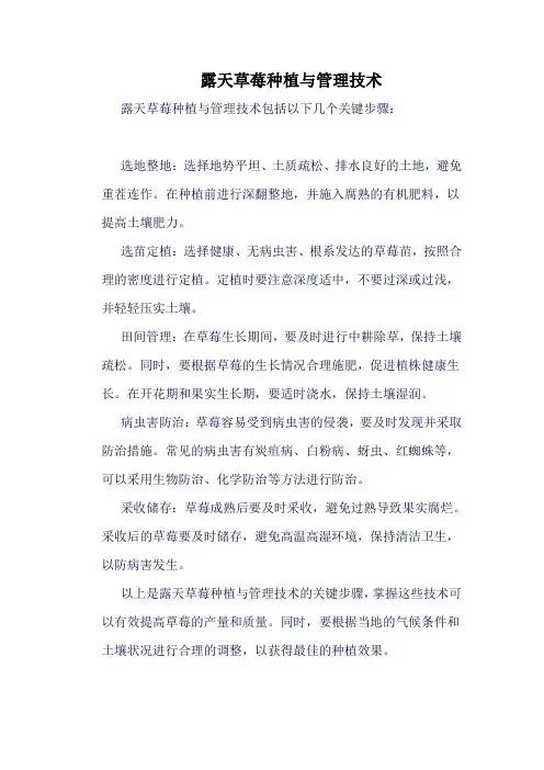 露天草莓种植与管理技术