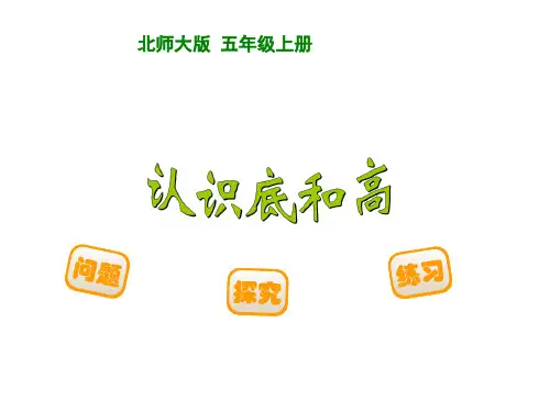 认识底和高PPT优秀课件1