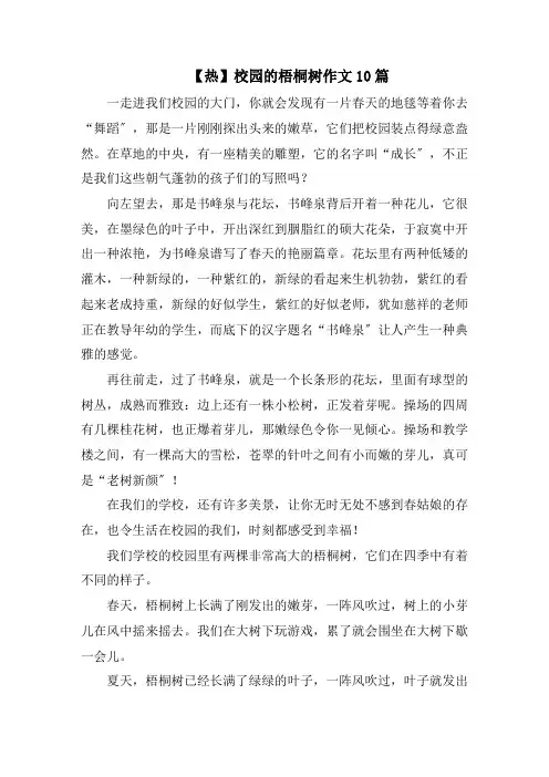 校园的梧桐树作文10篇精选范文