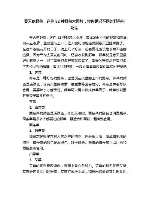 春天挖野菜，送你52种野菜大图片，带你见识不同的野菜和吃法