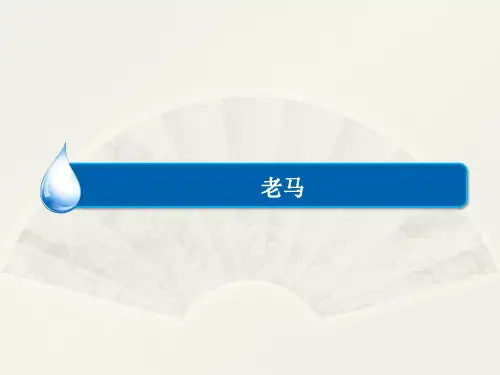 人教选修中国现代诗歌散文欣赏老马课件(29张)