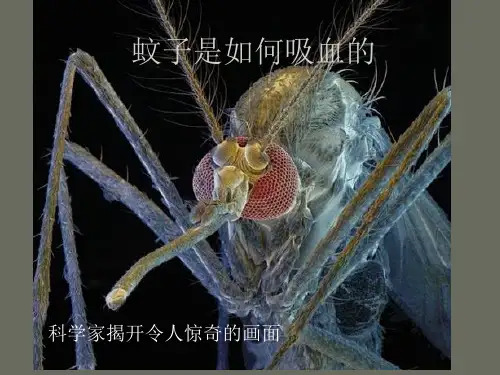 蚊子是如何吸血的