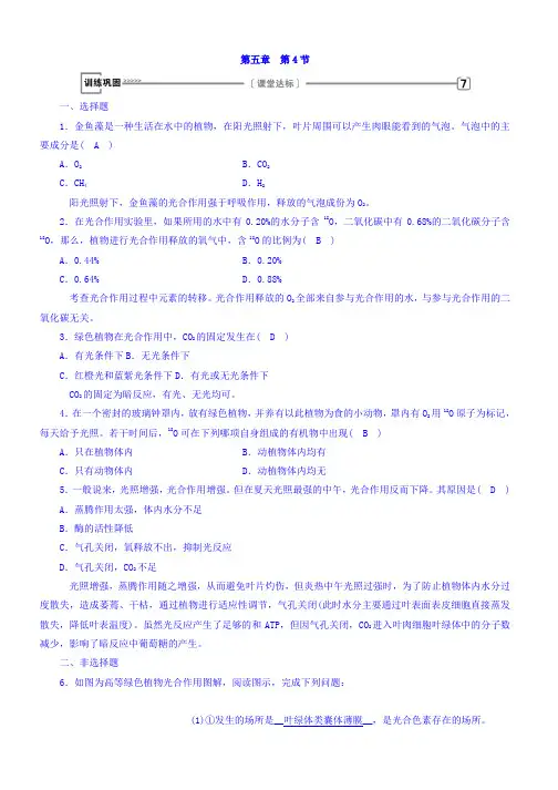高一生物人教版必修一习题：第5章 第4节 能量之源──光与光合作 训练巩固 Word版含答案