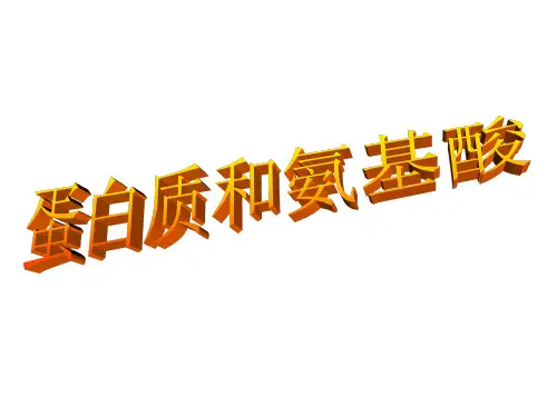 蛋白质和氨基酸 ppt课件