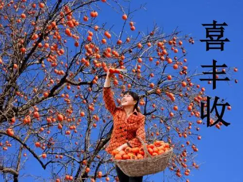 五年级音乐上册第1课喜丰收PPT课件湘艺版