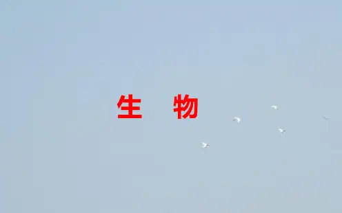 2019高中生物学业水平复习：专题二考点5细胞核的结构和功能 