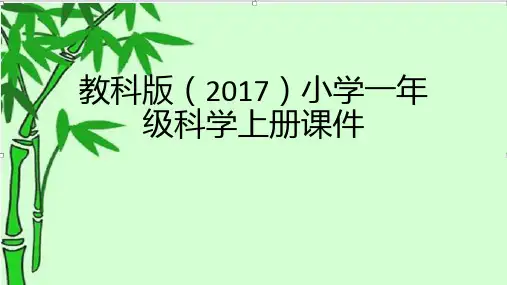 教科版(2017)小学一年级科学上册课件(附目录)