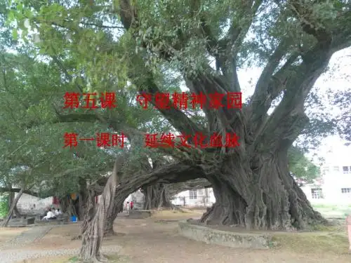 部编人教版初中九年级上册道德与法治《第五课守望精神家园：延续文化血脉》公开课课件_0