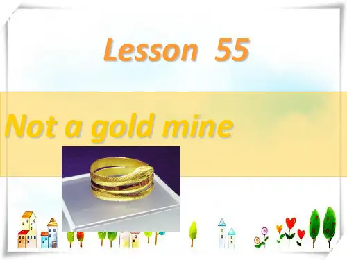 新概念英语NCE2_Lesson55(共30页)课件