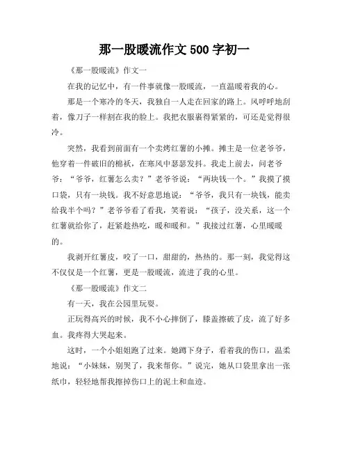 那一股暖流作文500字初一