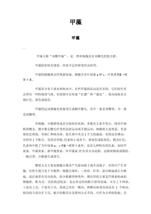 甲藻——精选推荐
