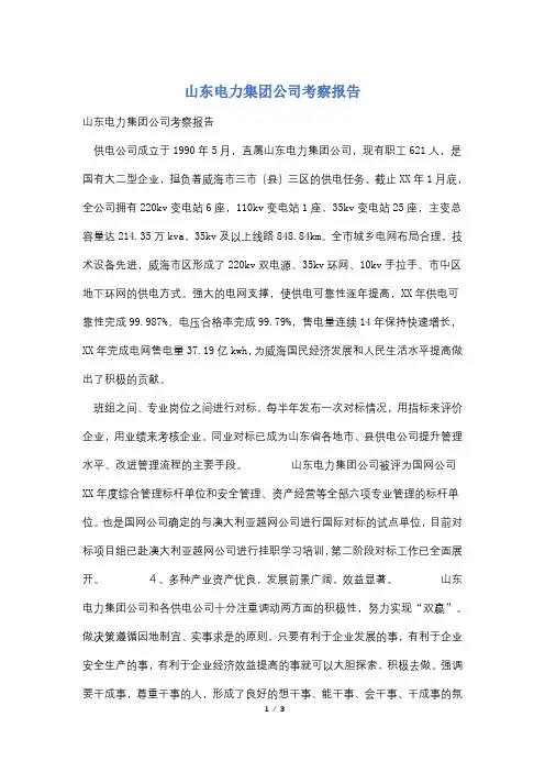 山东电力集团公司考察报告