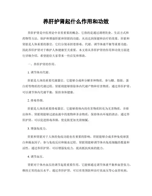 养肝护肾起什么作用和功效
