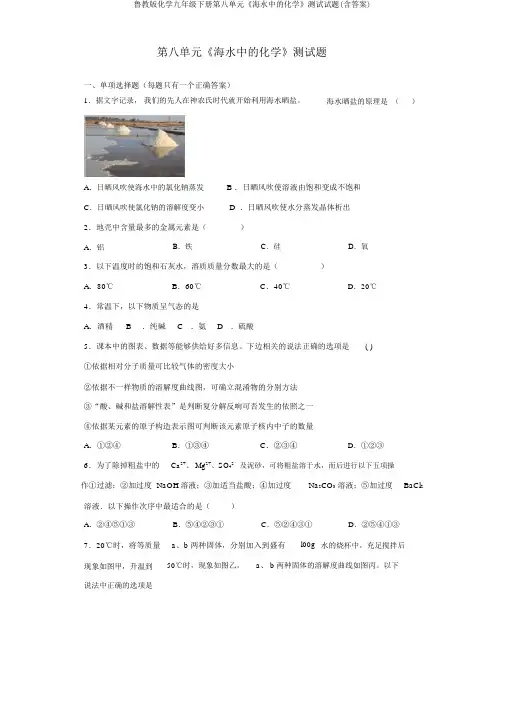 鲁教版化学九年级下册第八单元《海水中的化学》测试试题(含答案)
